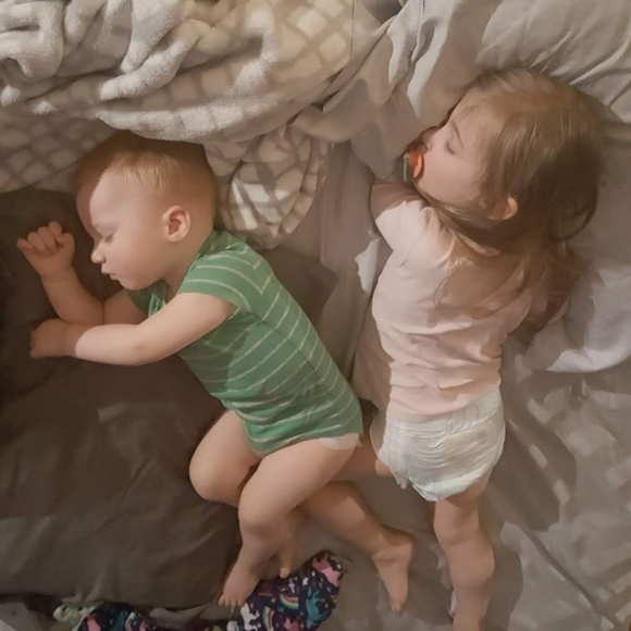 Meet your posher, Perry - Picture 3 of 6